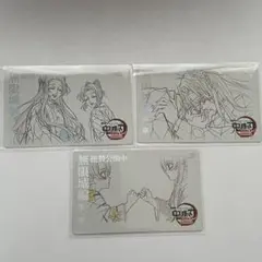 鬼滅の刃 無限城編 胡蝶しのぶ 胡蝶カナエ ムービーチケット風コレクションカード