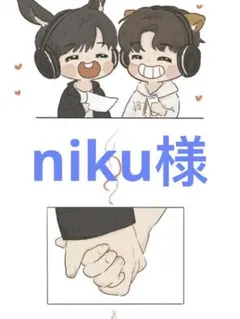 niku様 リクエスト 2点 まとめ商品