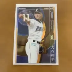 プロ野球オーナーズリーグ 大谷翔平 北海道日本ハムファイターズ 銀