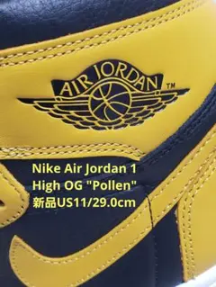 2025年最新】AIR JORDAN 1 POLLENの人気アイテム - メルカリ