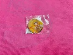 セーラームーン　クラシックコンサート　ピンズ