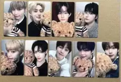 zb1 一直娱 yizhiyu 特典トレカ9枚コンプセット　くま