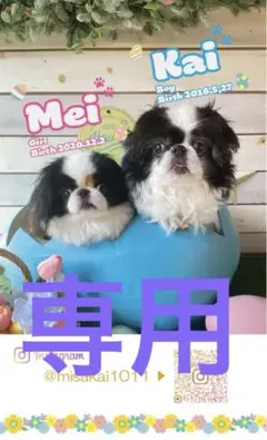 のんのん様　専用