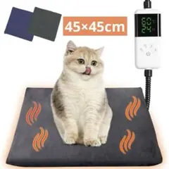 Item thumbnail for item 482af3e4-ba78-4229-9f83-fe5800d33678