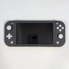Nintendo Switch Lite グレー 本体 ACアダプター付き
