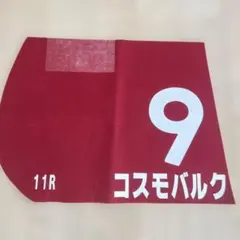 2026年最新】jra ゼッケン 実使用の人気アイテム - メルカリ