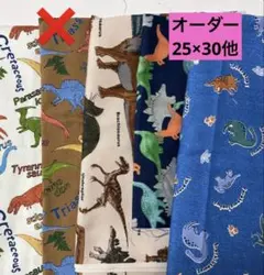 5枚保育園幼稚園ランチョンマットオーダー25×30cm20×30他　恐竜