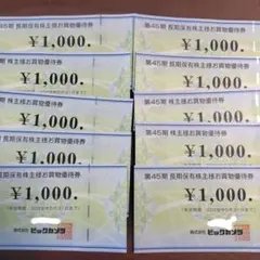 ビックカメラ 株主優待券 ¥1,000×１０枚