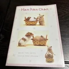 【希少】San-x Ham ham Chan ノート平成レトロ ハムスター