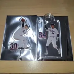 Item thumbnail for item 1dd9c3d8-3a7c-4b5e-a11a-2a8c72915be9