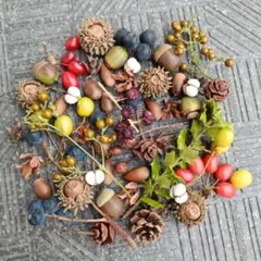 木ノ実 ガーデニング