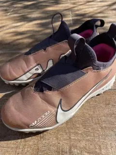 Item thumbnail for item 5d5c173a-154b-4d94-b95e-1204021cf26f