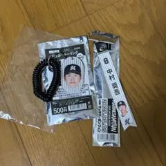 鉄腕Atom様専用