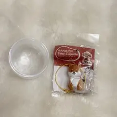 わんこのタイムカプセル　まめ