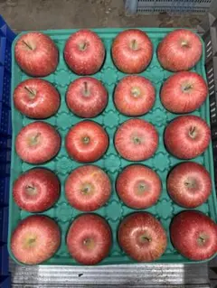 青森県産サンふじ小玉40個入り！家庭用！ スーパーセール！減農薬！