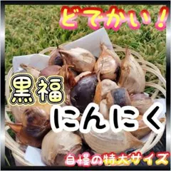 黒にんにく　ＸＬのサムネイル