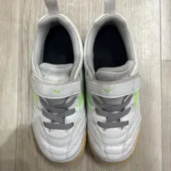 Item thumbnail for item b2cb95ea-8ccc-4842-9667-27953eab352f