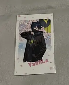 2026年最新】Vanilla cr チェキの人気アイテム - メルカリ
