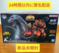 一番くじ ゴジラ 大怪獣列伝 A賞 SOFVICS 1995 香港上陸ver.