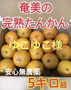 2025年最新】ユコユコの人気アイテム - メルカリ