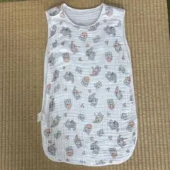 Item thumbnail for item a95a28c3-b23e-46db-b208-f8db00a71e65