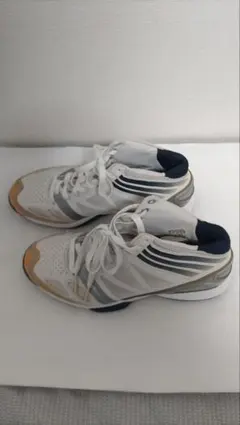 Item thumbnail for item f81a93e6-e4e6-4141-8cb5-547f24f3f21d