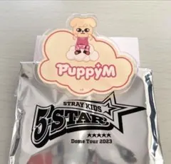 skzoo パピーム ランダムネームバッチ スキズ スンミン