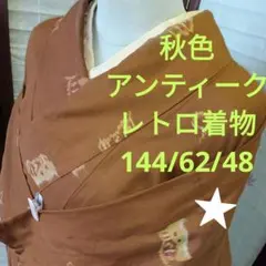 ★3917秋色アンティーク　レトロ着物