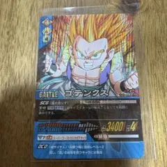 【中古品】【コレクション用】ドラゴンボールデータカードダス　ゴテンクス