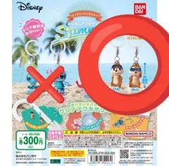 チップとデール　めじるしアクセサリー