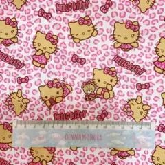 2026年最新】キティ はぎれの人気アイテム - メルカリ