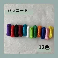 パラコード 3m×12色セット ハンドメイド 手芸　アウトドア ロープ 201