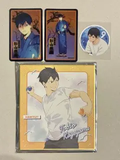 ハイキュー!! 影山飛雄 水遊び 色紙 夏祭り クリアカード