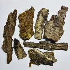 Item thumbnail for item 66c73c9e-ffc3-4d14-aa4e-fd50344d6e61