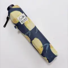 【雨傘】nifty color レモン柄　折りたたみ傘