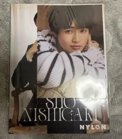 西垣匠　NYLON SUPER VOL.17