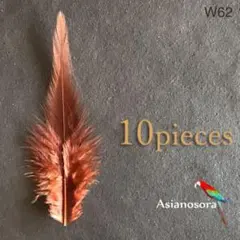 Item thumbnail for item 1d8a1426-b356-482f-95b7-218ac3d0e62d