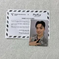 SEVENTEEN セブチ ディノ W会員 特典