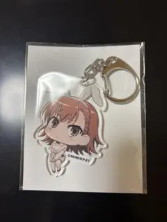 2026年最新】とある科学の超電磁砲 アクリルスタンドの人気アイテム