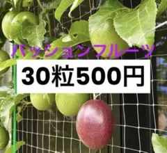 パッションフルーツ種のサムネイル