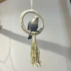 お値引き済haru様専用　リクエスト 2点 まとめ商品