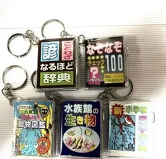 未開封 6個セットミニチュア図鑑 豆本 キーホルダー ランダムのサムネイル