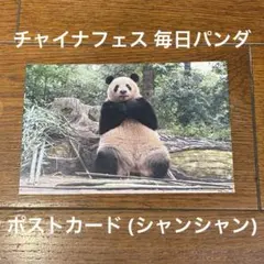 【非売品】 チャイナフェス 毎日パンダ ポストカード （シャンシャン）