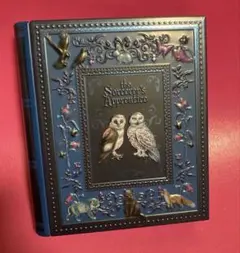 販売終了品❤︎新品❤︎カルディ❤︎魔法使いの弟子のための魔法辞書❤︎缶❤︎ブルー