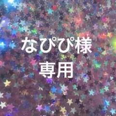 なぴぴ様専用