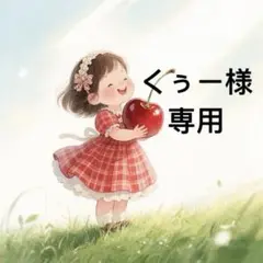 くぅー様 リクエスト 3点 まとめ商品