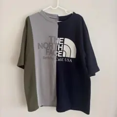 ノースフェイスパープルレーベル ASYMMETRY LOGOTEE Sサイズ