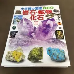 岩石・鉱物・化石