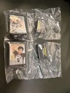 ハイキュー 木兎 赤葦 エモーショナルライトアップポスター コレクション