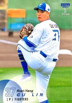 Osaka Ohtani様 リクエスト 3点 まとめ商品